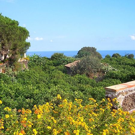 Il Limoneto Acireale Villa ภายนอก รูปภาพ