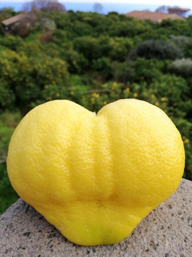 Il Limoneto Acireale Villa ภายนอก รูปภาพ