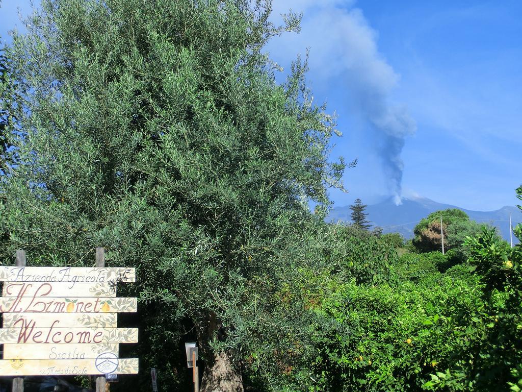 Il Limoneto Acireale Villa ภายนอก รูปภาพ