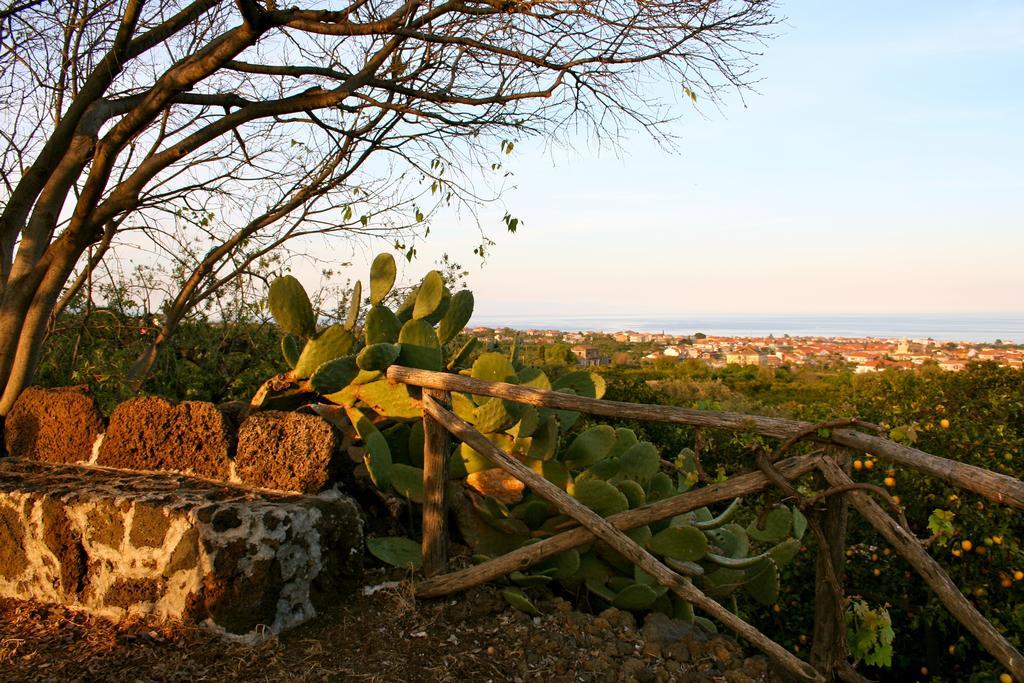 Il Limoneto Acireale Villa ภายนอก รูปภาพ