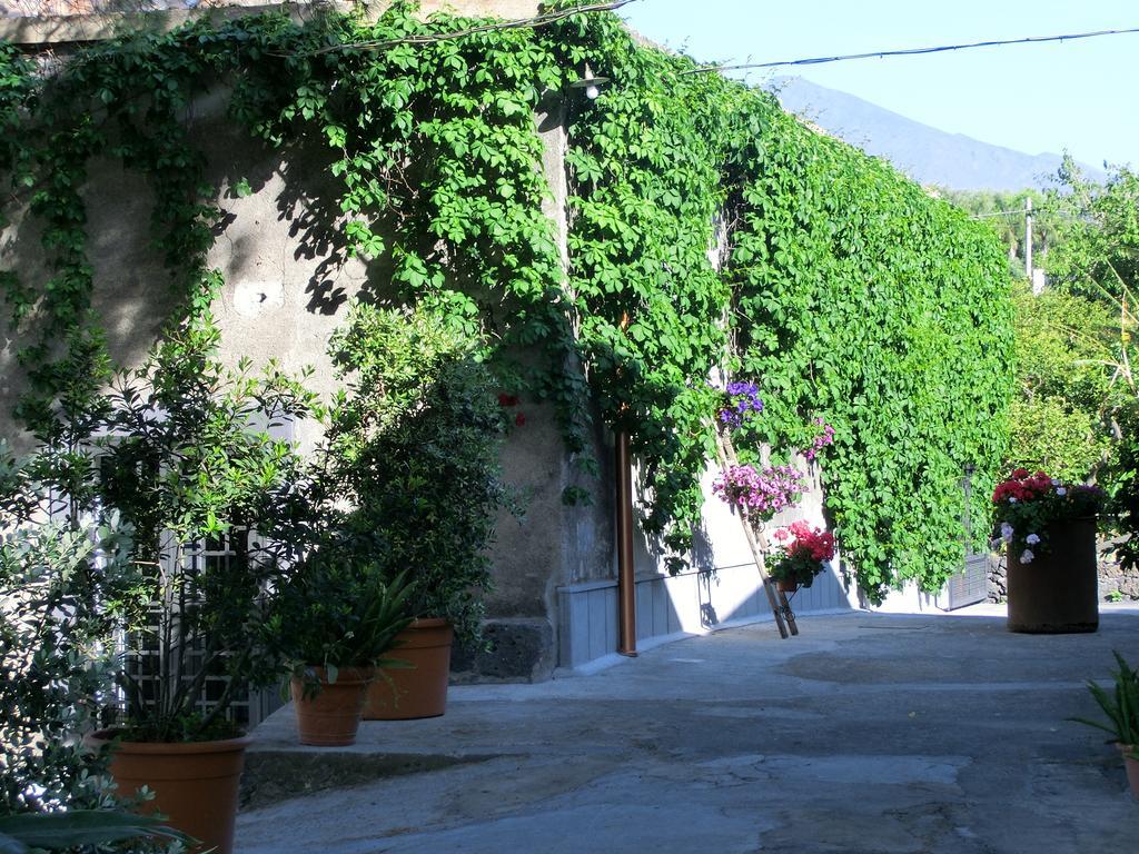 Il Limoneto Acireale Villa ภายนอก รูปภาพ